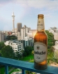 Picture of Beer Pilsner Krombacher 4.8% Bottle 660ml, 12 bottles per case